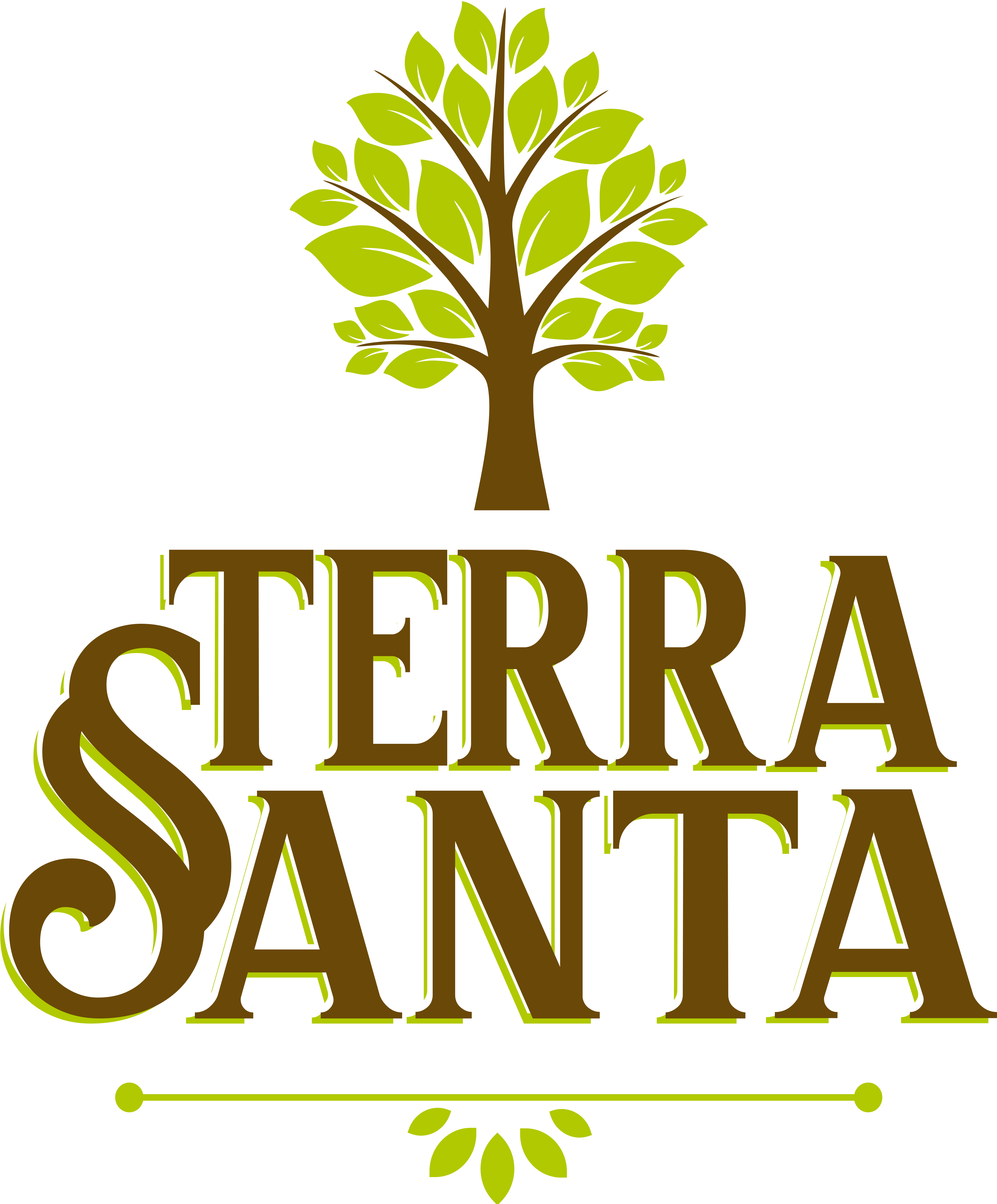 Terra Santa
